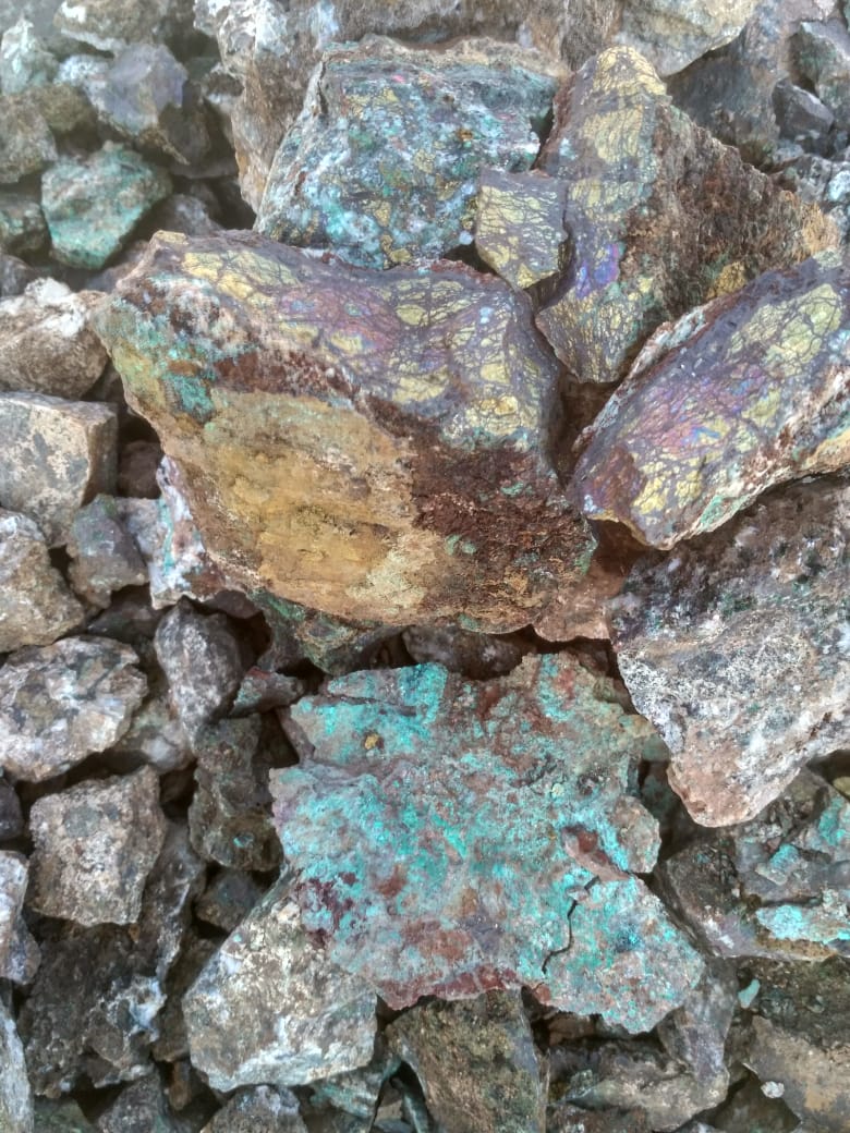 Chalcopyrite irisée et malachite